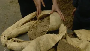 Een grote verteringsfabriek