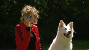 Een halsband tegen vlooien