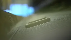 Van rijstkorrel tot wafel