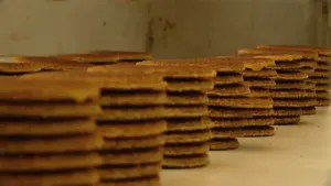 Een typisch Hollandse wafel