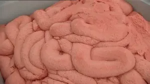 Het worstje zonder vel