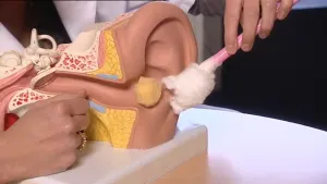 Een soort huidvet in je oor 