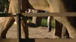 Groot, klein, dun of dik