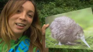Vernoemd naar een vogel