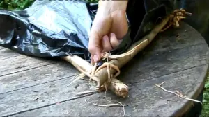 Overleven in de natuur 
