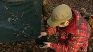 Regenwater en dauwdruppels