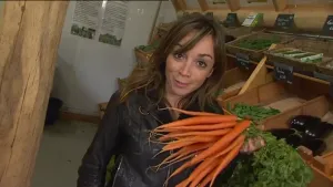 Wortels in alle kleuren