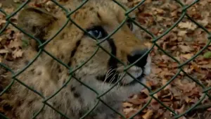 120 kilometer per uur