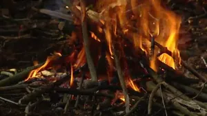 Overleven in de natuur