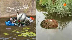 Dus ik ben wel/geen natuur