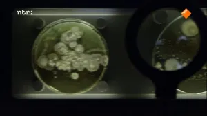 Eert uw bacteriën