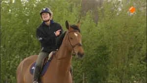 Top springpaard