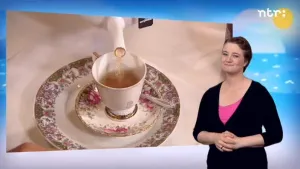 Huisje boompje beestje: op de thee