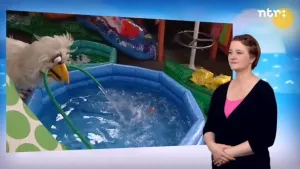 Huisje boompje beestje: zwemles