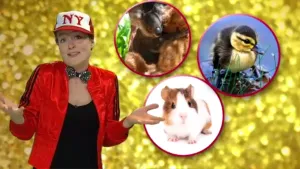 Grote ogen en zachte vachtjes