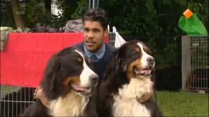 Hondenkennel