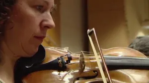 Van viool tot contrabas