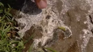 Het witte is eigenlijk plas