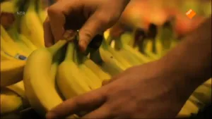 Banaan