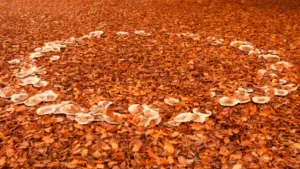 Is het snugger of kletspraat?