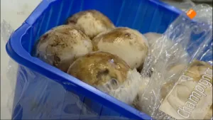 ZOEK HET UIT! Slimme verpakkingen