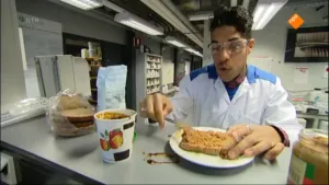 ZOEK HET UIT! Enzymen