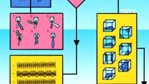 Wat is een algoritme?