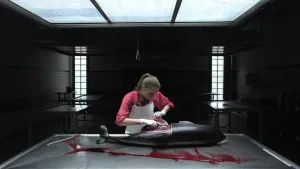 CSI aan de kust - De bruinviszaak