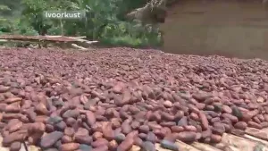 Chocolade