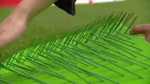 Het geheim van donkergroen en lichtgroen gras