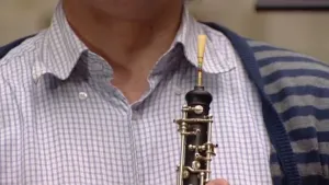 Fluit, klarinet, hobo, hoorn en saxofoon