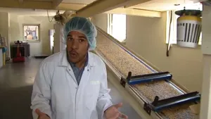 Verschillende soorten granen in een zakje