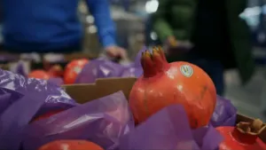 Granaatappelpitjes