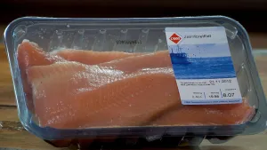 Zalmforel