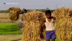 Omgaan met de natuur - Bangladesh