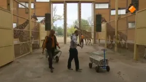 Is dieren opsluiten oké?