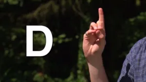 Praten met je handen en je gezicht