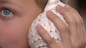 Is het snugger of kletspraat?