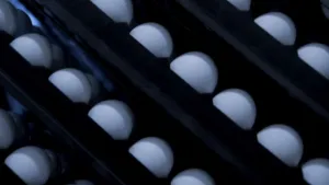 Is het snugger of kletspraat?