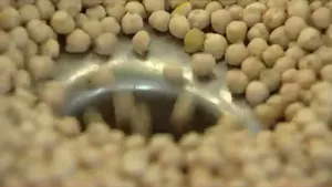 Een sausje van kikkererwten