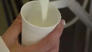 Melk met melkzuurbacteriën