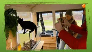 Hoe maak je natuurfilms?