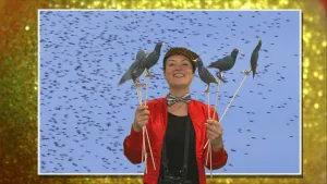 Stunten zonder ongelukken