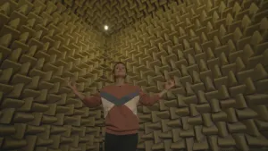 Al het geluid wordt geabsorbeerd