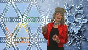 Sneeuwvlokken absorberen geluid