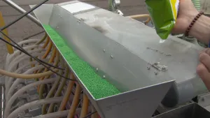 Alle radijsjes netjes op een rij