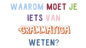 Zonder grammatica kun je geen taal leren