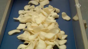 Kroepoek