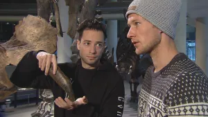 Kun je sneller rennen dan een tyrannosaurus rex?