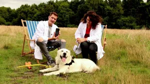 Pokémon Go hacks getest